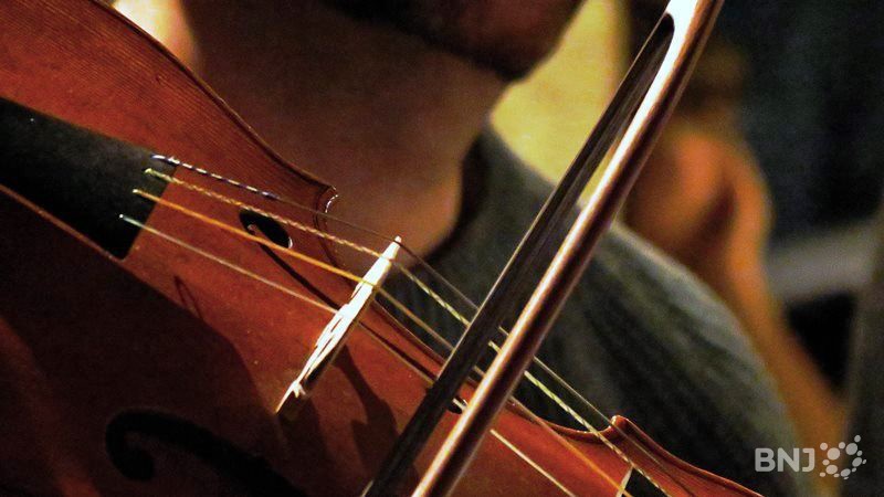 Violon