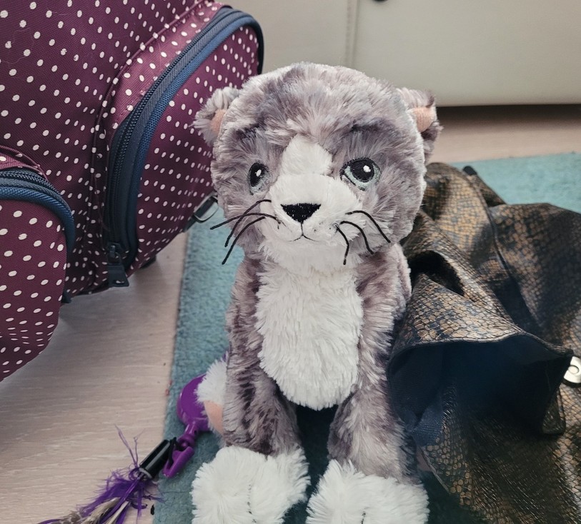 Felix est une peluche que Sarah Buompane utilise comme « assistant » pour illustrer ses propos lors de ses rendez-vous