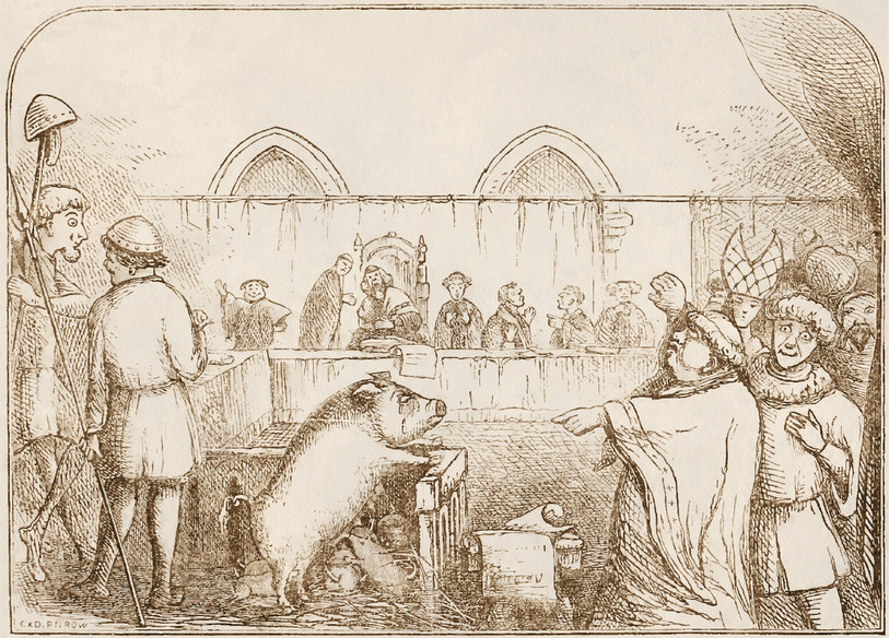 En 1457, à Lavegny en France, une truie avait été pendue pour meurtre après avoir dévoré un enfant. (Image : wikimedia commons)