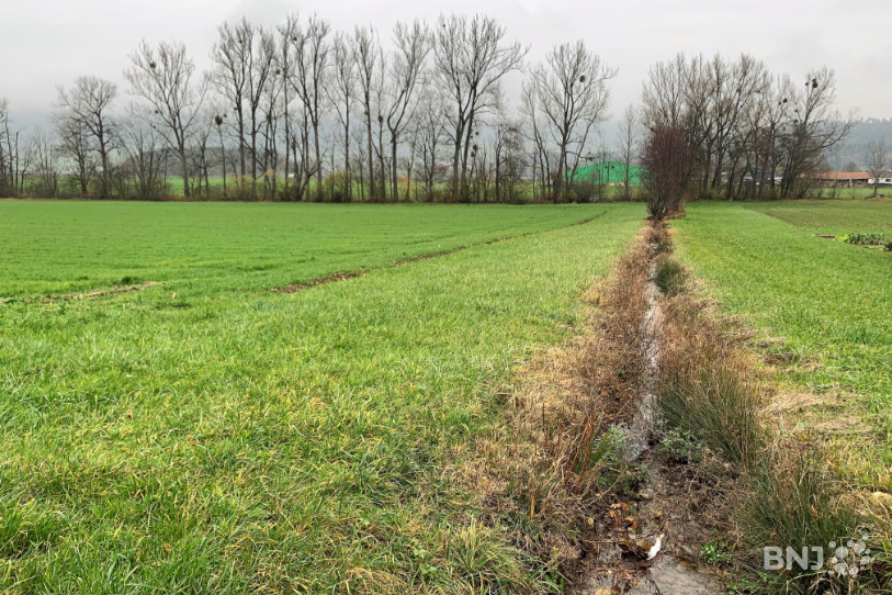 Le Biernol, ruisseau latéral à la Sorne, fait lui aussi l'objet de travaux.