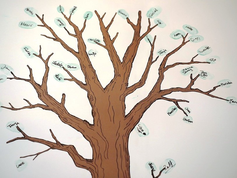 arbre généalogique