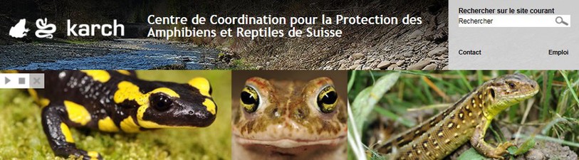 Page d'accueil Karch.ch