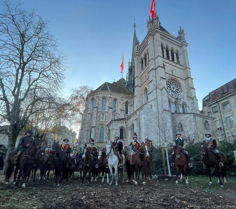 Plusieurs chevaux franches-montagnes ont été montés par des cavaliers de la Compagnie de 1602, qui redonnent vie à la bataille de l'Escalade à Genève (photo : Claude Boillat).