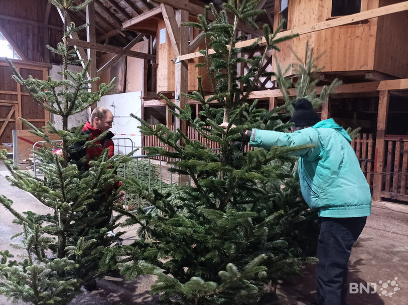 Le garde forestier de Saignelégier Christophe Montavon, à gauche, conseille un client venu chercher un sapin de Noël dans la grange de la Halle-cantine.
