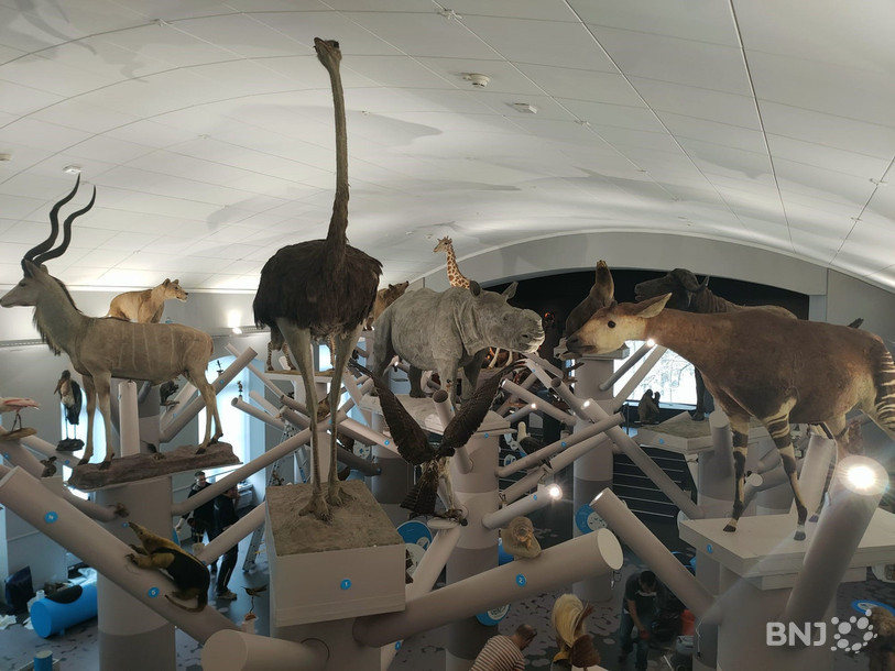 L'exposition « Plan B » de MUZOO salué par l'Académie suisse des sciences naturelles. (Photo: archives)