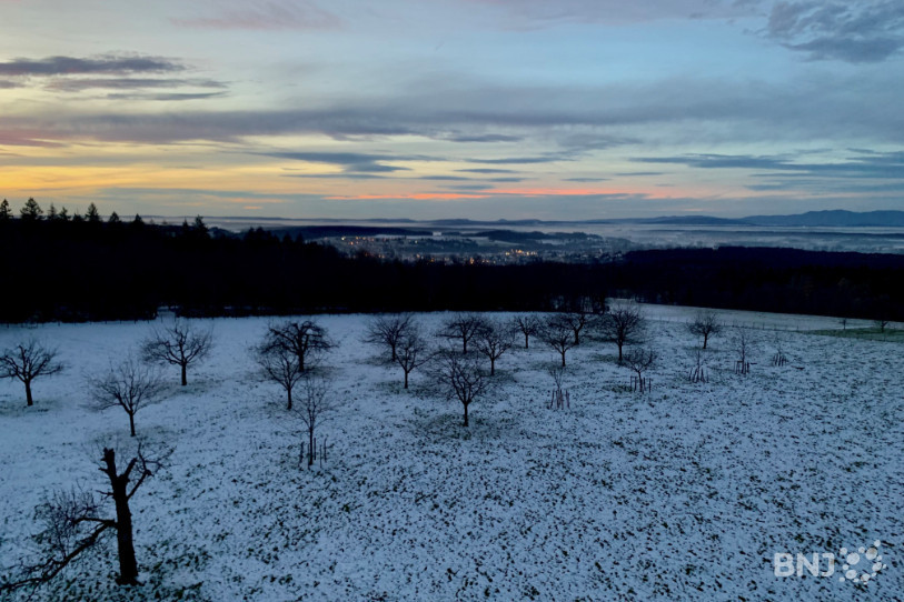Belfort et les Vosges se dévoilent depuis le haut de la Tour panoramique.
