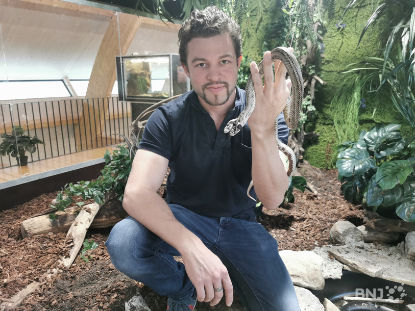 Zoltan Prin avec Tom & Jerry, un serpent à deux têtes âgé de 24 ans et mascotte de l'exposition.