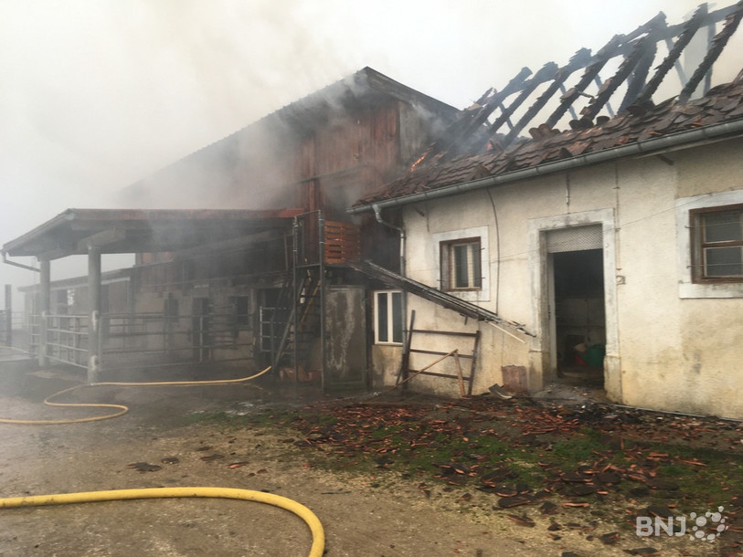 Le feu a concerné un local annexe et l'écurie de la ferme.