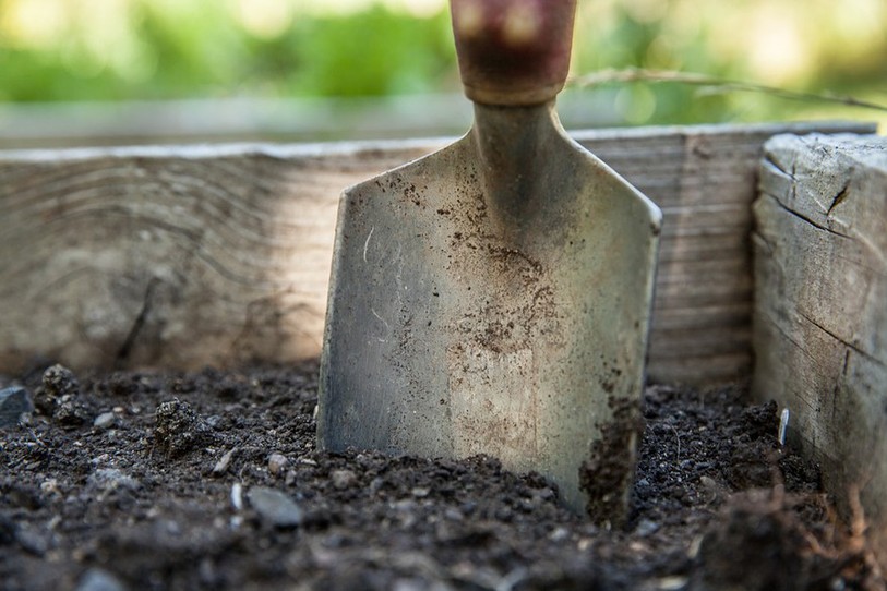 Pelle de jardinage