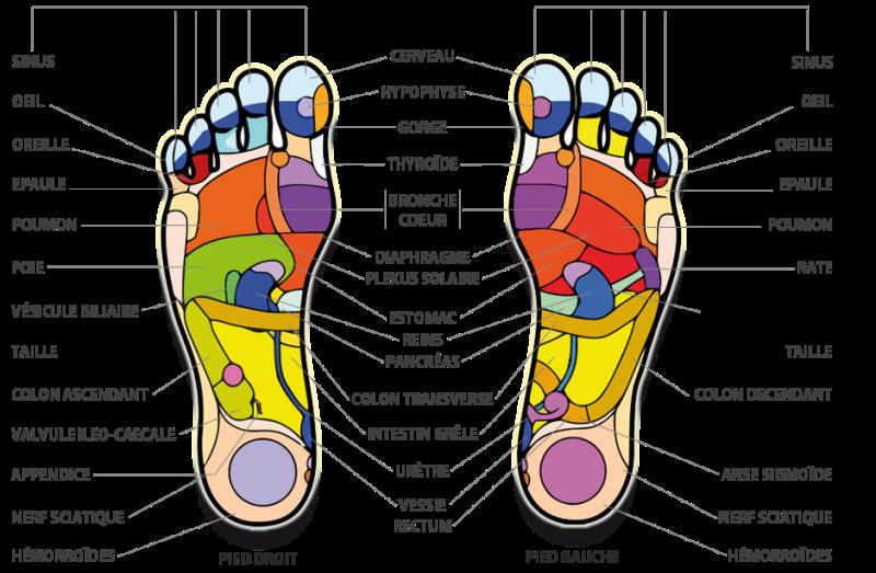 Cartographie des pieds