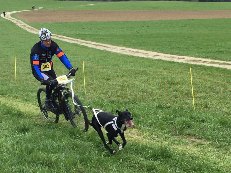 Alan Péchin s'illustre en bikejöring