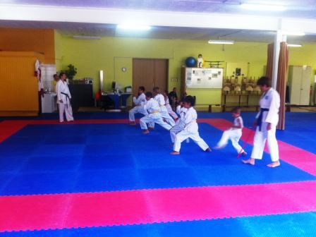 Dojo STKD