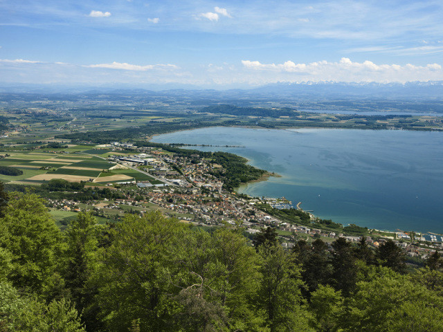 Un piéton heurté mortellement par un train à St-Blaise (NE)