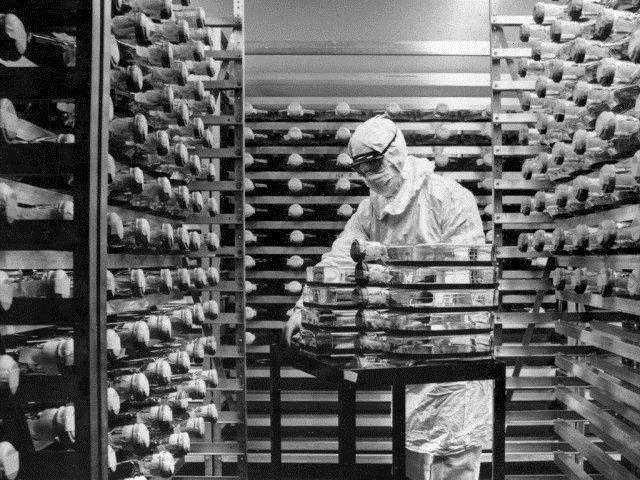 Louisiane: une bactérie mortelle retrouvée hors d'un laboratoire