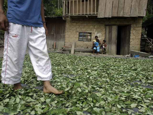 L'offre mondiale de cocaïne a baissé de façon importante