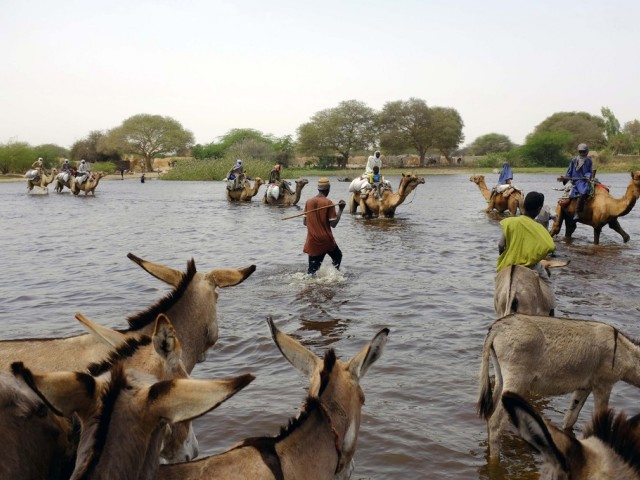 Boko Haram: crise humanitaire majeure, affirme le CICR