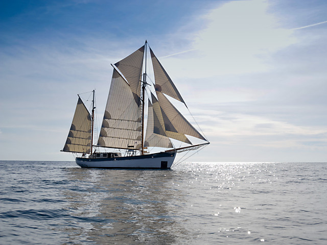 Quatre ans sur les traces d'un navigateur génial