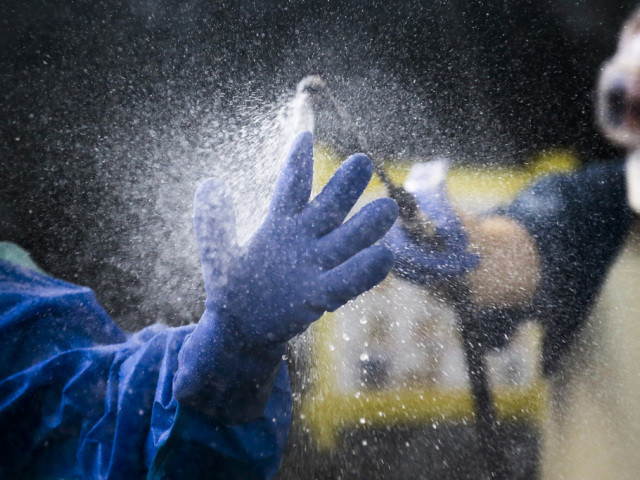 Premier test positif au virus Ebola depuis un mois au Liberia