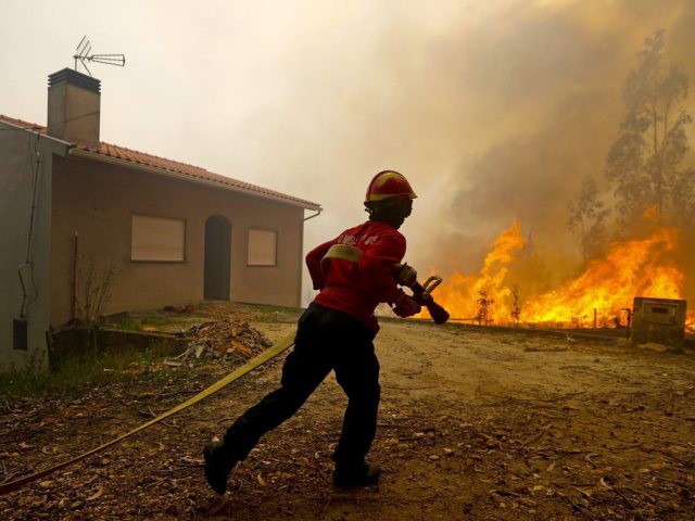 Des feux de forêts font rage dans le nord du Portugal