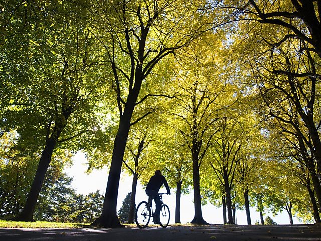 Un cycliste perd la vie après une collision à Ecublens (VD)