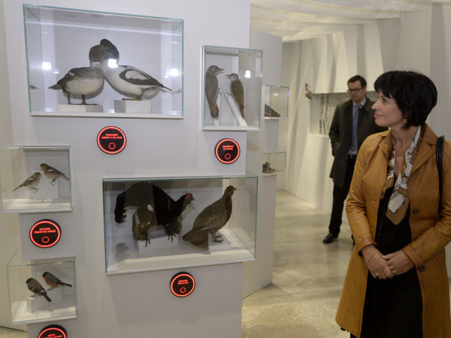 La Station ornithologique ouvre un nouveau nid pour les visiteurs