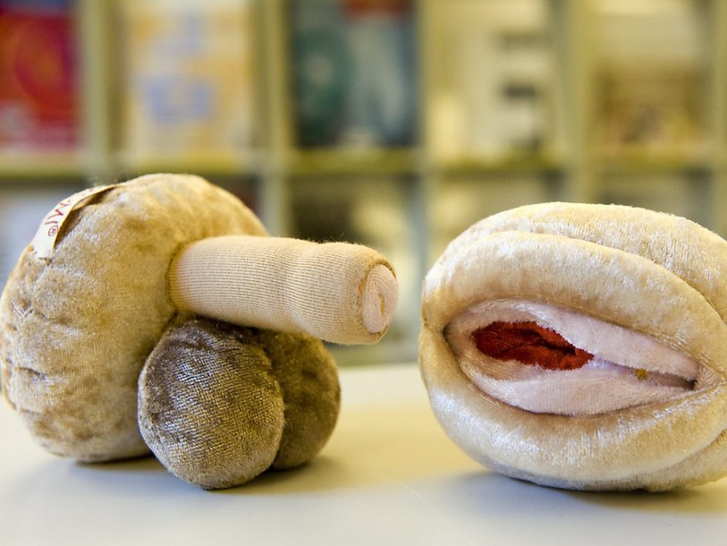 Les enfants continueront à avoir des cours d'éducation sexuelle