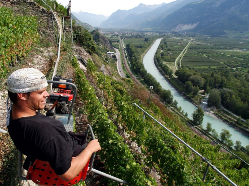 Le vignoble en terrasses de Sion sera sauvegardé