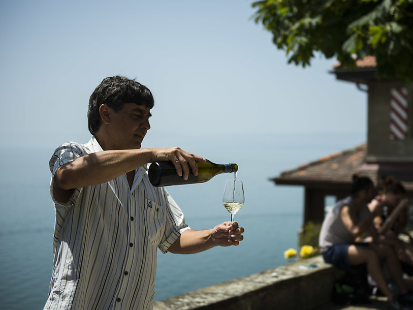 Irrégularités majeures dans 36 entreprises de négoce des vins