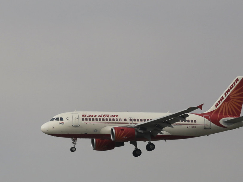 Lézard dans un plateau-repas sur un vol Delhi-Londres d'Air India