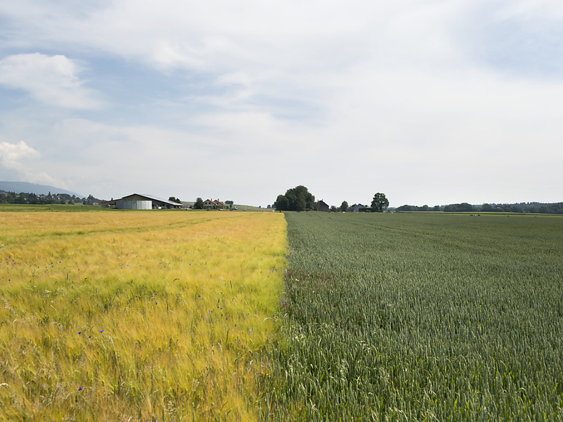 Les objectifs de la politique agricole peuvent être atteints