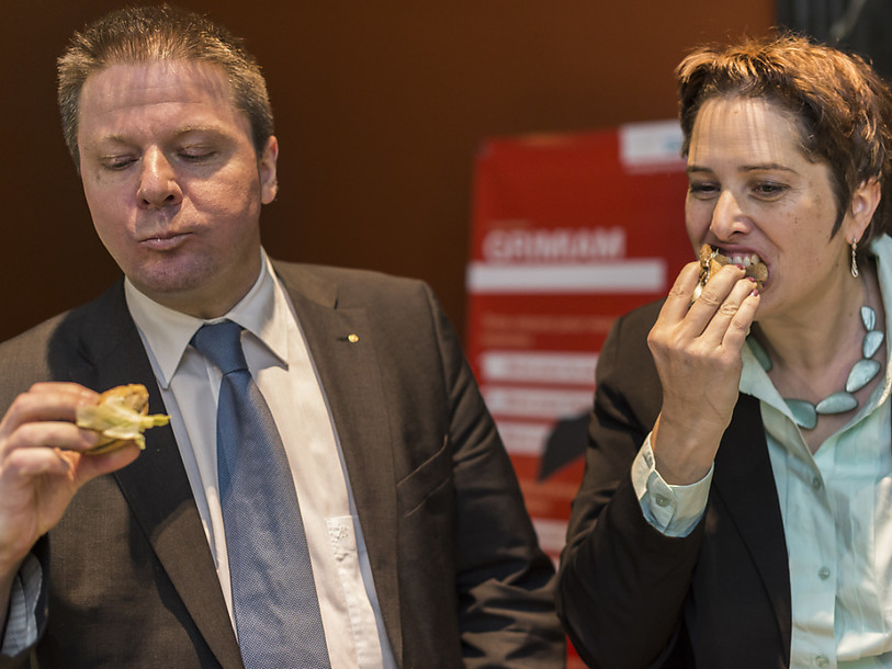 Vers la commercialisation des grillons et des sauterelles