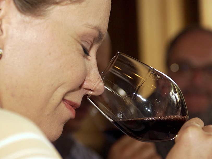 Vinea 2015 abandonne le dimanche