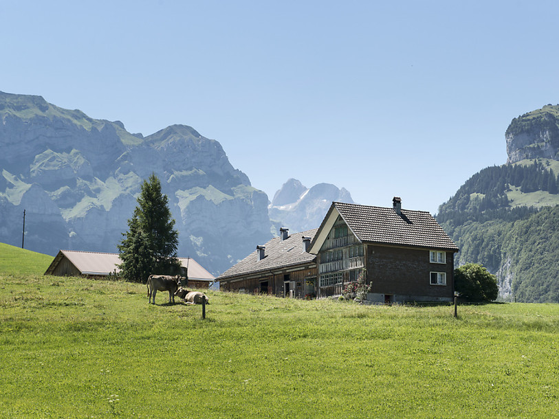 Il faut instaurer la transparence dans les subventions agricoles