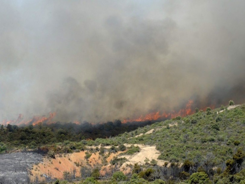 Risque extrême d'incendie sur presque tout le territoire espagnol