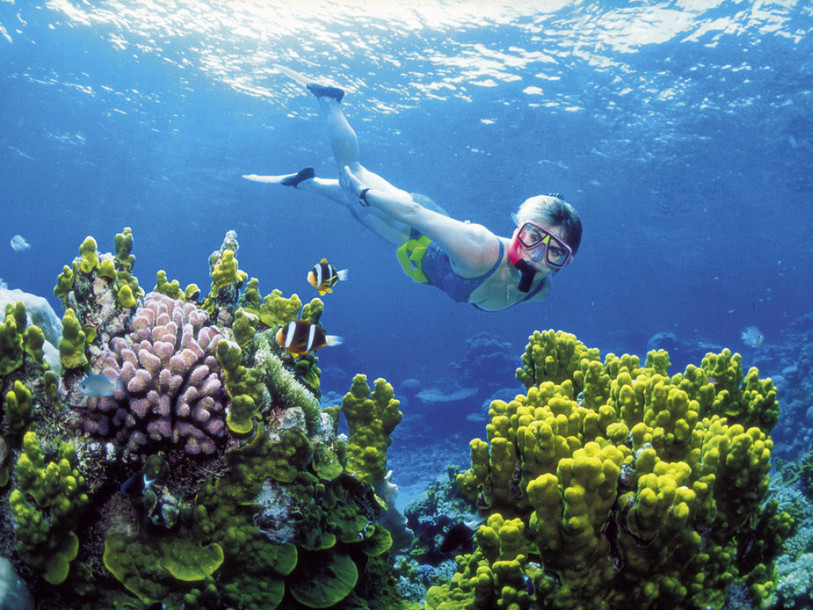 Grande barrière de corail: la justice bloque un vaste projet minier