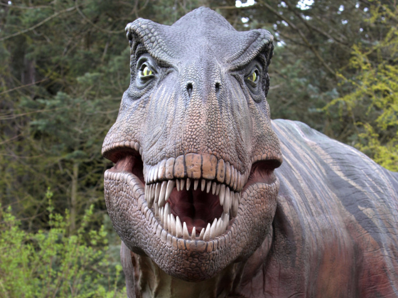 Aucune espèce à l'abri en cas de phénomène d'extinction massive