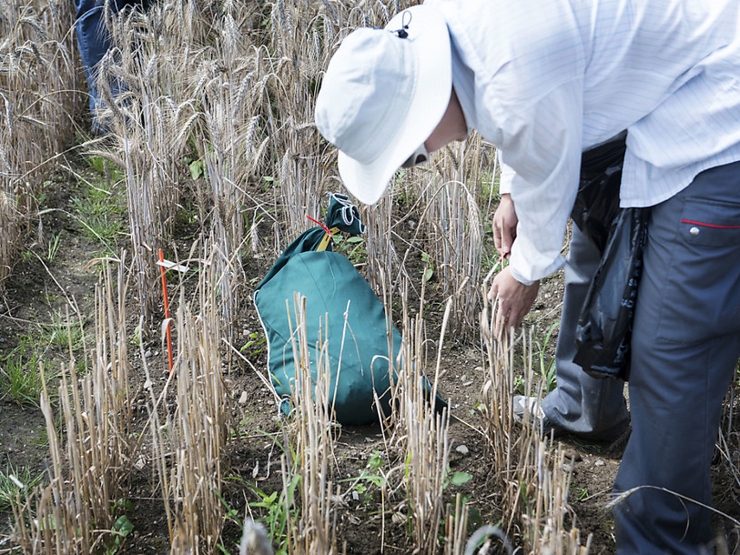 Le FiBL et Agroscope renforcent leur collaboration