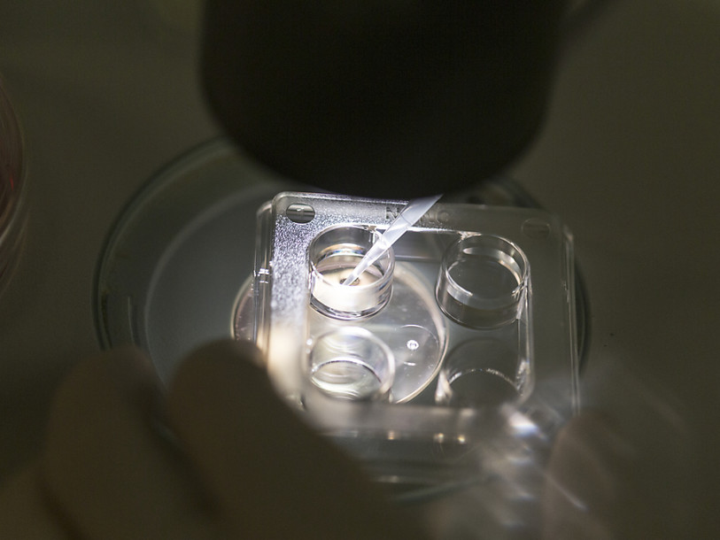 Le parti évangélique peut lancer le référendum contre le DPI