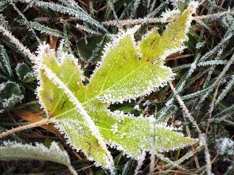 Il a fait très frais lundi à l'aube en Suisse