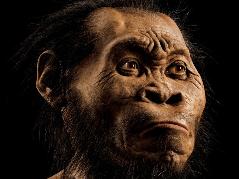 Découverte en Afrique du Sud d'une ancienne espèce du genre humain