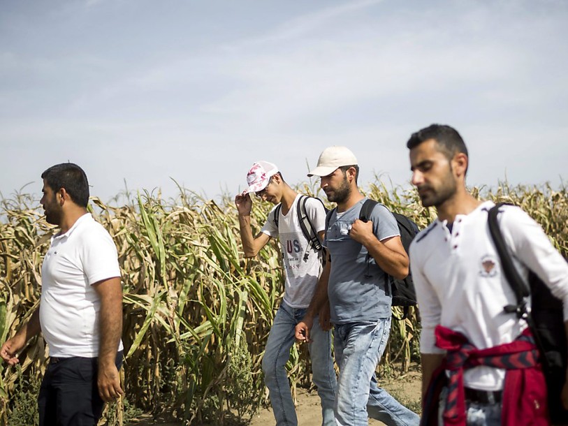 Des milliers de migrants sont arrivés en Croatie