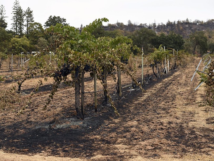 La Californie commence à maîtriser certains de ses pires incendies