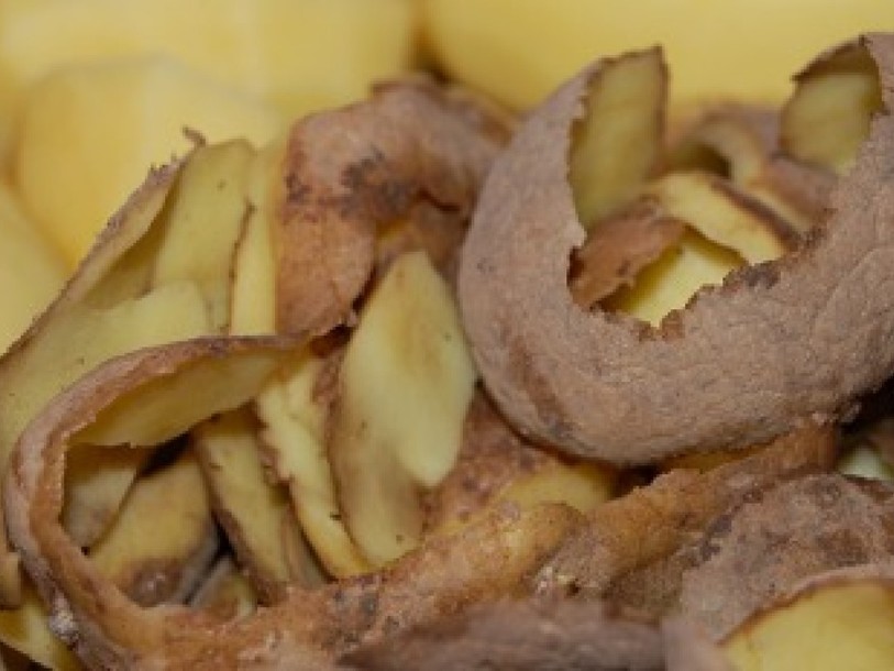 La moitié de la récolte de pommes de terre se perd