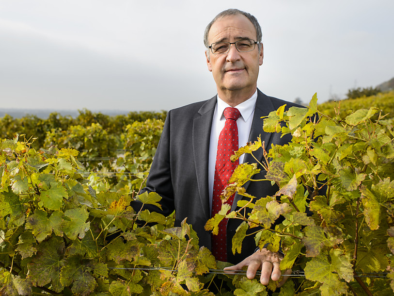 La valse des papables UDC au gouvernement va continuer