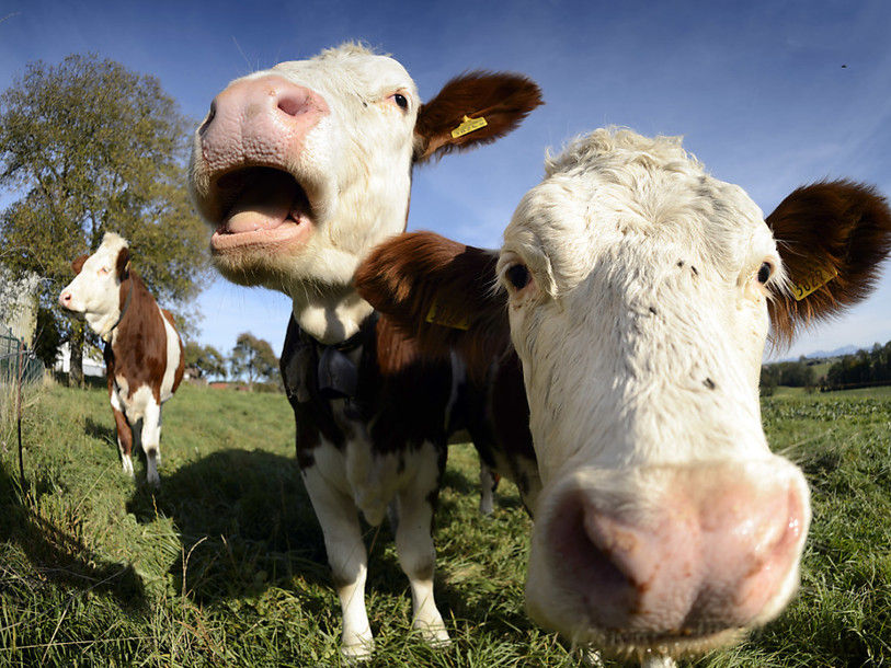 L'année 2014 a été exceptionnellement bonne pour l'agriculture