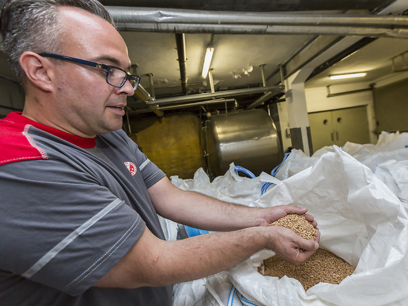 Conséquence de la canicule, la production de bière suisse a stagné