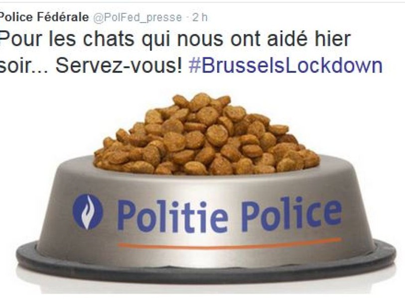 La police belge offre des croquettes aux chatons de Twitter