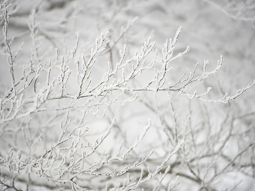 L'hiver est bien là: il a fait près de -25 degrés à La Brévine (NE)