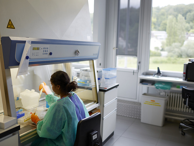 Le virus du sida a moins tué en 2014