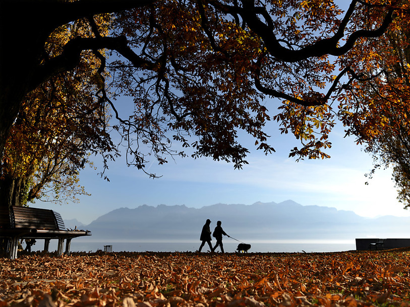 Tribunal criminel de Vevey: six ans d’emprisonnement pour matricide